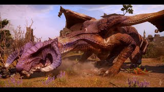 Dragon Age  Inquisition  Northern Hunter Boss Fight No HUD [upl. by Ocin]