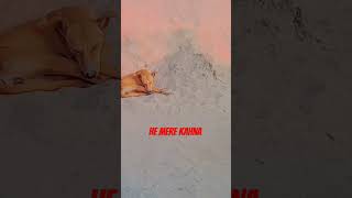 He mere keshev he mere Kahnawake short video like and subscribe [upl. by Linette]