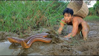 Dig the Mud for Cacth eels  cooking eels [upl. by Marigolda]