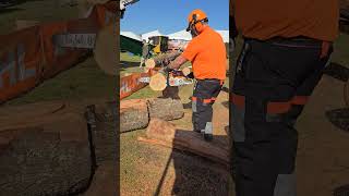 Stihl MS 400 CM stihl firewood chainsawman satisfying firewood stihlchainsaw viral shorts [upl. by Hillinck]