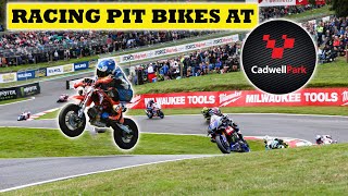 Racing A Pit Bike At Cadwell Park   The British Supermoto Championship  pitbikesupermoto [upl. by Enylecoj]