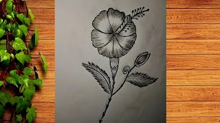 How to draw a Flower 🌺  Easy Flower Drawing Step by step  Drawing for beginners  art drawing [upl. by Deny]