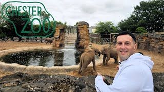 Is Chester Zoo THE BEST Zoo In The UK [upl. by Housen452]