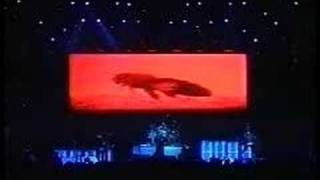 SYSTEM OF A DOWN  FOREST live at Ozzfest 2002 [upl. by Flss]