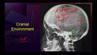 Cerebral Perfusion Paramedic TBI AP [upl. by Wheelwright]