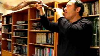 Mark Kerzner sounds 30 shofar blasts for Rosh Hashana 5772 [upl. by Ecirad252]