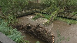 Pontevedra mantén pechados parques e zonas arboradas pendente da avaliación dos servizos municipais [upl. by Kalvn567]