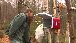 Birch Sap Research at PMRC and The Vital Role of Native Plants aired 52013 UVM Extension [upl. by Neffets]