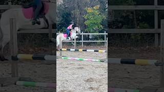 Dessie was a very sassy pony today 😂 fypシ゚viral blowup equestrian viralvideo fypage [upl. by Naujahs19]