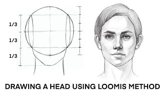 Drawing a head using Loomis method [upl. by Yhtommit586]