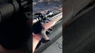 Best Pellets test Results Check it out daystatehuntsmanrevere airgunsofarizona daystateairguns [upl. by Stillmann]