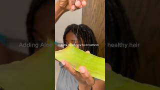 Adding Aloe Vera for healthy locs 🌱 aloevera aloeveragel healthylocs healthyhair [upl. by Kristof]