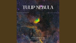 Tulip Nebula [upl. by Kirschner]