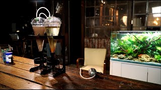 JBL ArtemioSet für eine erfolgreiche Kultivierung von Artemia als Lebendfutter für Aquarienfische [upl. by Ocsicnarf113]