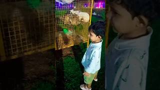 Amayra Park me Rabbit ko dekh ke khus ho gayi shorts shortvideo youtubeshorts youtubeshort [upl. by Nylacaj209]