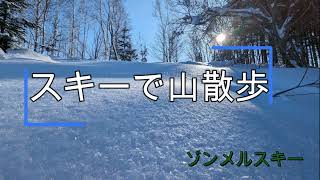 スキーで山散歩 powder snow Skiing in the mountains [upl. by Fawcett]