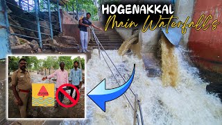 Hogenakkal Current 💦🤯Waterlevel Status🤔⁉️ Full Vlog  Free World Hogenakkal hogenakkal viralvideo [upl. by Heath]