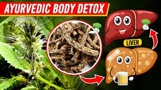 5 Ayurvedic GEMS Herbs That FLUSH OUT Body Toxins NATURALLY [upl. by Melessa988]