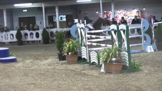 Pony Owners 2015  Abbie Sweetnam  Jump Off  148 Final [upl. by Irahk907]