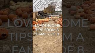 LowIncome Tricks for Large Families frugalhacks lowincomeliving largefamilymeals [upl. by Ahsaetan171]