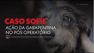 Caso Sofie  Ação da gabapentina no pós operatório [upl. by Airretnahs]