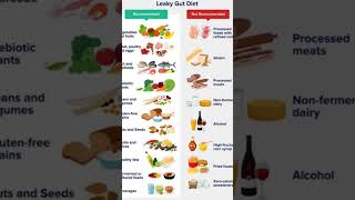 Leaky gut diet [upl. by Natsud]