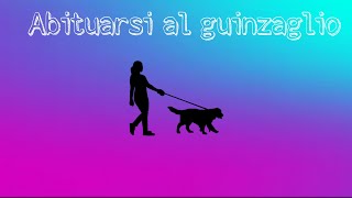 Episodio 30 Abituarsi al guinzaglio [upl. by Barnes]