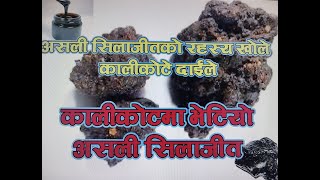 शिलाजीत  pure shilajit  shilajit ayurveda  shilajit health benefits  Himalayas shilajit [upl. by Amir]