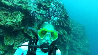 Montego Bay Scuba Dive 3 of 6  Active panic in open water diver [upl. by Idnem]