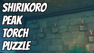 How to complete Shirikoro Peak Torch Puzzle  Genshin Impact [upl. by Bebe]