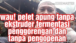 Pelet apung tanpa ekstruder fermentasi goreng open anti gagal 90 berhasil [upl. by Inwat202]