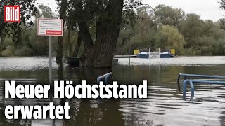 BRANDENBURG Hochwasser an der Oder steigt immer weiter [upl. by Nirtiac]