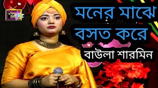 স্বপ্নে আইসা দুচোখ দরে মনের মাঝে বসত করে।বাউলা শারমিন সরকার। babulal sharmeen sarkar। মফিজ টিভি [upl. by Adle442]