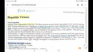 Hepatitis A virus Microbiology 2 [upl. by Avat437]