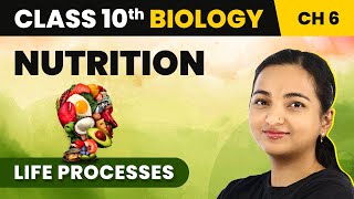 Class 10 Biology Chapter 6  Nutrition  Life Processes [upl. by Hennessy643]