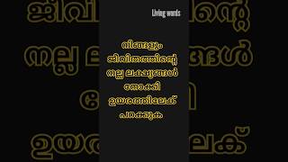 Story of Pigeon and crowtruemotivationlstorymalayalam english [upl. by Reckford]