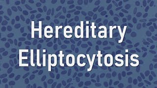 Hereditary elliptocytosis [upl. by Initirb]