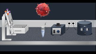 Coronavirus Test Real time RTPCR  Animation video [upl. by Notsuj]