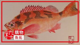 魚拓 [upl. by Aititil736]