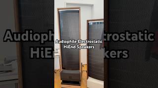 Audiophile Hiend Electrostatic Speakers 🔊 Home Stereo Sound HiFi Audio System hiend hifi audio [upl. by Latif]