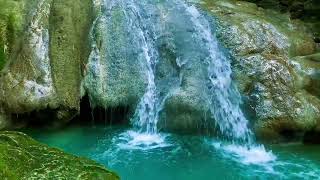 Relaxing birds amp water sounds nature river sounds for sleep meditation relaxation flowing water [upl. by Ytteb882]