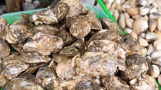 Philippine🇵🇭 mini public market TALIPAPA sell new harvest TALABA and vegetable [upl. by Ahsea]