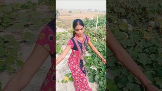 budhwa ke man sanke bhojpuri dance trending shortsvideo [upl. by Portie728]