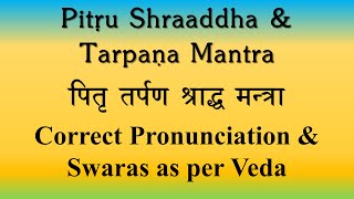 Pitru पितृ Paksha  Mahalaya  Shraaddha Tarpana Mantras  Perfect Pronunciation  Sri K Suresh [upl. by Sivlek546]