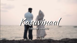 Kasavinal slowedreverbHanan Shaah Song  Song Inspired Mallu [upl. by Dympha]