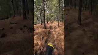 Black Hills SD singletrack 🫶 [upl. by Sined]