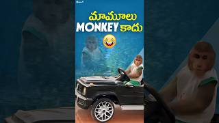 Funny Dubbing 😂chittoorkurradu trending funny comedy fun monkey srileela kissik puspa food [upl. by Orabelle544]