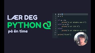 Lær deg Python på én time  Grunnleggende Python [upl. by Zischke938]