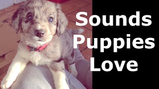 Sounds Puppies Love  Puppy Sounds for Dog Stimulation [upl. by Emeline512]