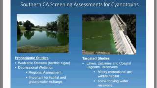 Widespread Prevalence of Cyanobacteria amp Cyanotoxins from a Variety of California Waterbodies [upl. by Mourant]